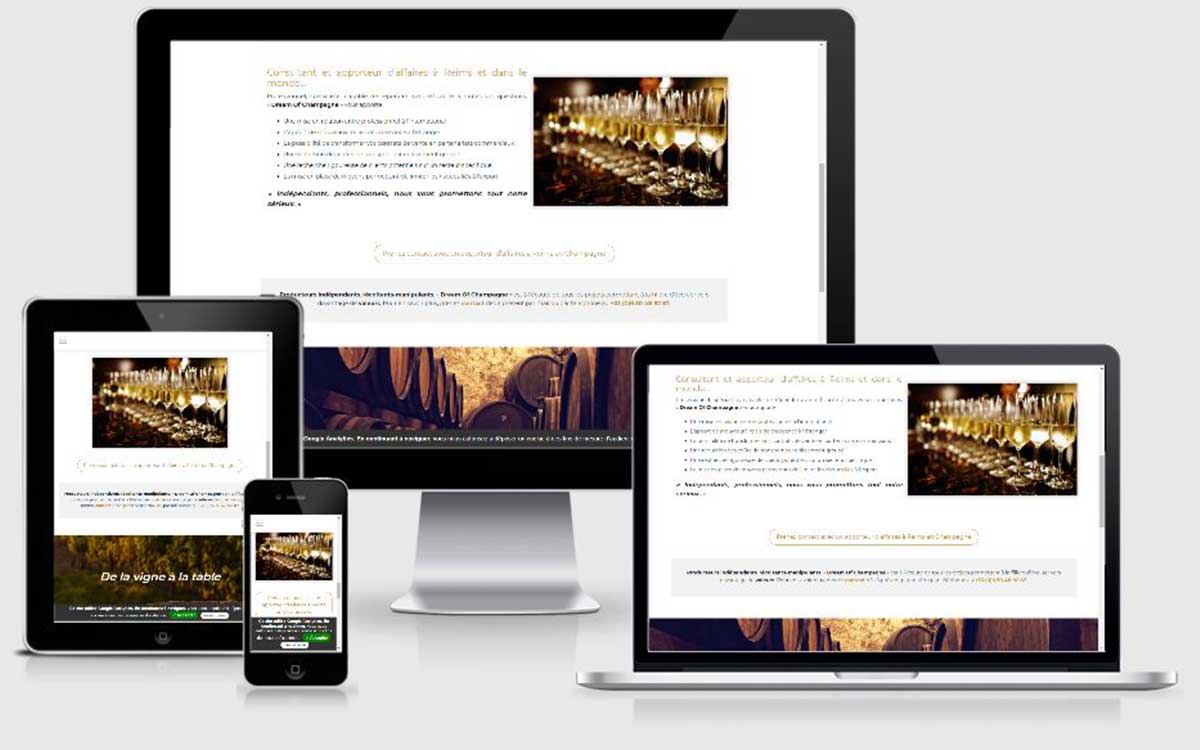 Création de site web vigneron, viticulteur, producteur de champagne dans la Marne
