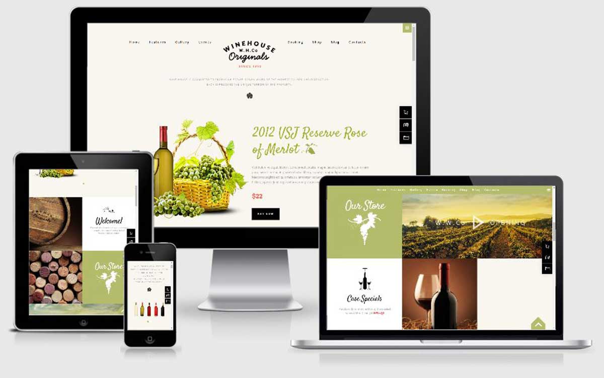 Création de site web producteur, viticulteur, vigneron de vin dans la Gironde