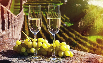 Création de site viticulteur et producteur de champagne pour les vignerons, maisons et coopératives de champagne dans la haute-Marne, Vaux-sous-Aubigny, Coiffy-le-Haut, Vaux-sous-Aubigny, Colombey-les-Deux-Eglises, Rizaucourt-Buchey, Richebourg
