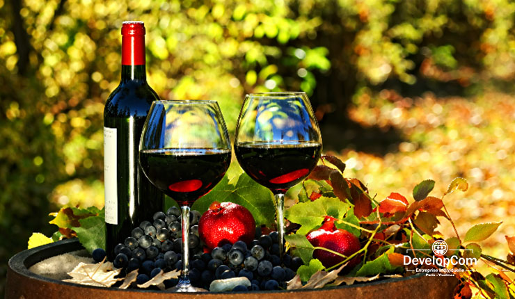 Création de site web viticulteur et producteur vins de Bordeaux en Gironde, Médoc, Blayais-Bourgeais, Graves, Pessac-Léognan, Cérons, Barsac, Sauternes, Entre-Deux-Mers, Saint-émilion, Pomerol, Fronsac, Castillon-la-Bataille et les Côtes-de-Francs